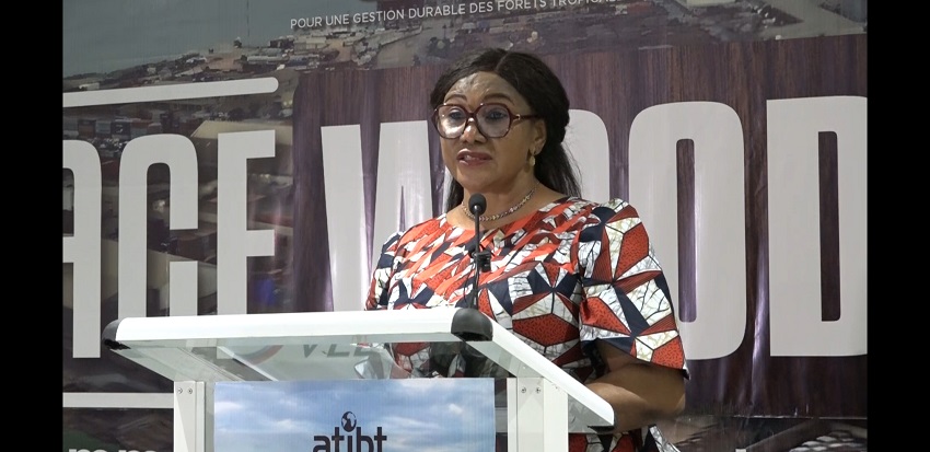 Filière bois tropical : les acteurs réunis de nouveau à Pointe Noire