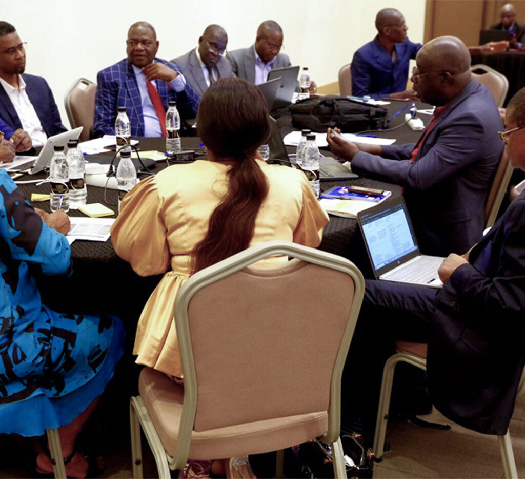 Mise en œuvre de l’APV-FLEGT : le Congo élabore un nouveau plan quinquennal