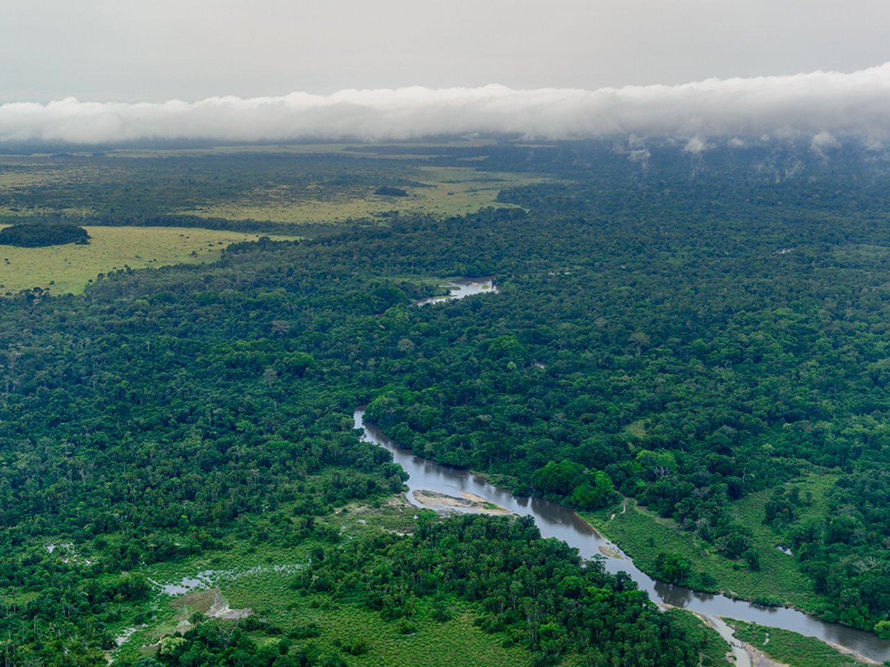Jad20211029 Tribune Cop26 Bassin Congo