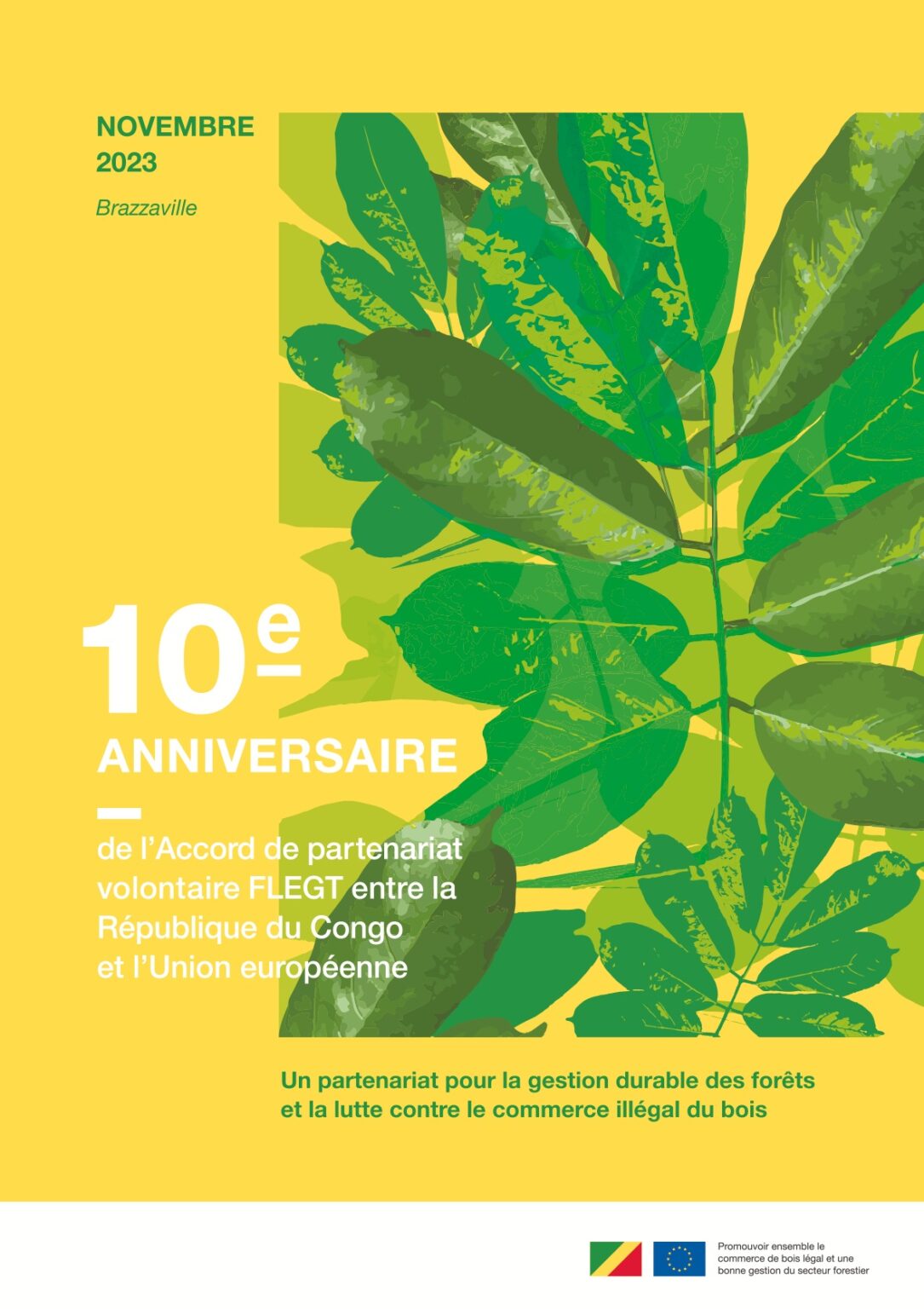 Page De Garde 10eme Anniversaire APV Flegt 0